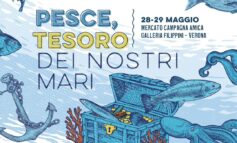 Il pesce dell'Adriatico al Mercato Coperto, degustazioni gratuite, laboratori e segreti del mare