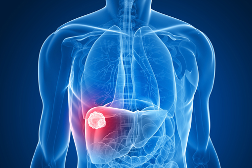Giornata veronese del Fegato. La Liver Unit incontra i cittadini
