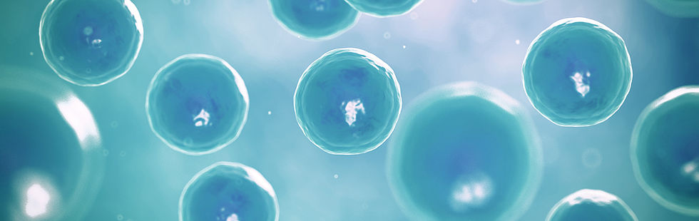 Preservare la fertilità maschile dopo il tumore: il ruolo delle banche dei gameti e l’eccellenza del Lazio