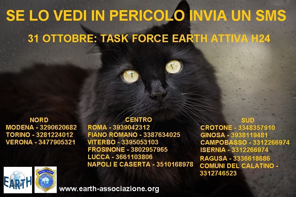 Earth istituisce una task force attiva h24 su tutto il territorio nazionale