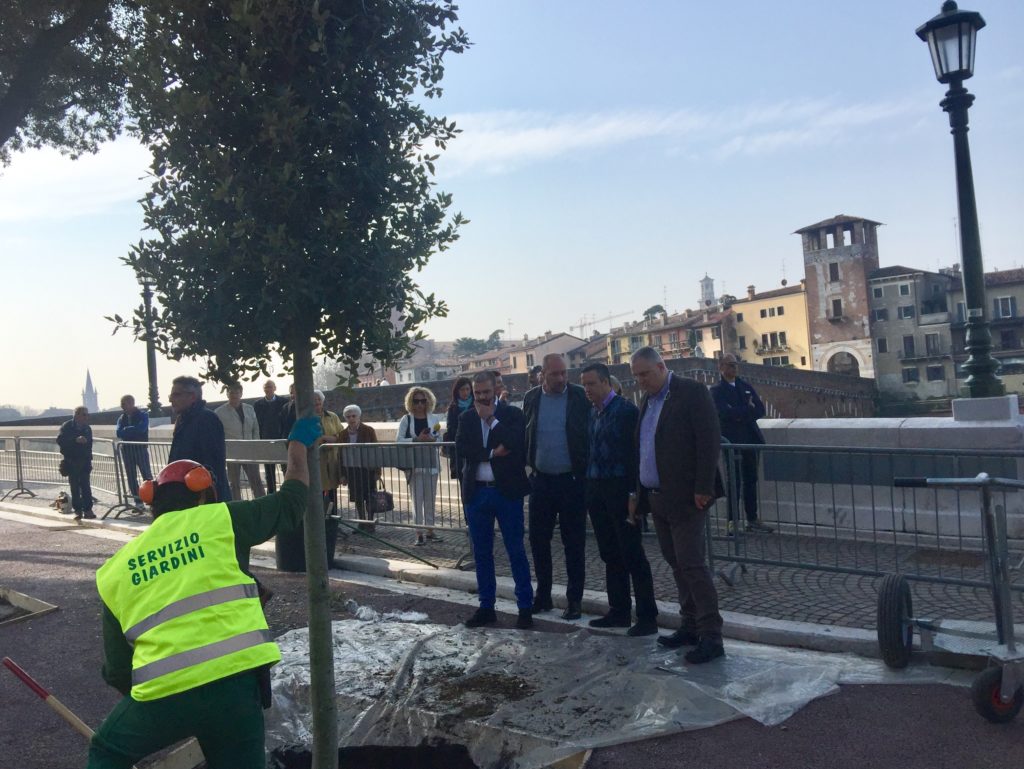 Sopralluogo per l’inizio dei lavori di piantumazione di 27 nuove piante in lungadige San Giorgio