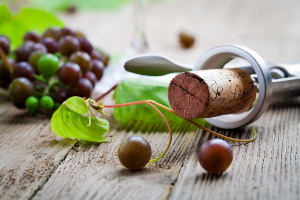 Vino, Osservatorio Vinitaly-Nomisma Wine Monitor: giù i calici sotto lockdown nel semestre peggiore di sempre