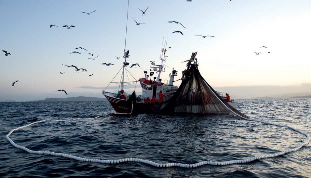 Pesca: In arrivo 21 milioni di euro per le imprese ittiche venete, Assessore Pan, “Sostegno a innovazione settore, no a riduzione fondi con nuova pac”