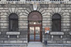 Al Museo di Storia Naturale visite guidate e conferenze per la mostra “LITTLE GIANTS”