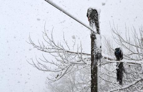 Meteo. Dichiarata la fase di attenzione per nevicate dalle 16 di domani alle 6 di venerdì su valli prealpine, pedemontana e zone collinari del Veneto