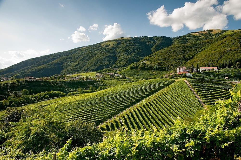 Colline Unesco: Domenica a Pieve di Soligo festa e intesa programmatica – Parte il percorso di gestione partecipata dell’8° sito veneto ‘Patrimonio dell’Umanità’: Professor Restucci, “Il futuro sta nelle proprie radici”
