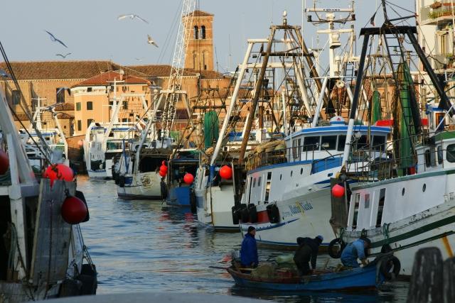 Pesca: nuova Carta Ittica, via libera agli atti preliminari, Assessore Pan, “Strumento essenziale per pianificare lo sviluppo del settore”