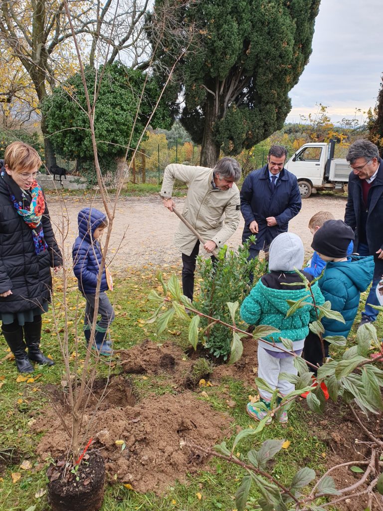 Viale Piave torna ad essere alberato. Platani al posto dei pini marittimi, ma anche una nuova siepe lungo la ciclabile