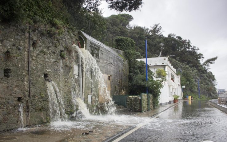 Meteo. Persiste il maltempo. Stato di attenzione sulle zone montane, pedemontane e costiere per vento forte