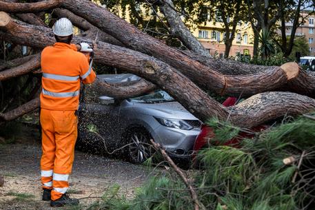 Un’auto sbanda e li travolge. Morti 4 operai, un ferito grave