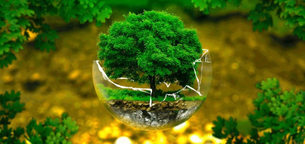 Edizioni 2020 del “Premio Compraverde Veneto”: Incontri informativi presso imprese e stazioni appaltanti premiate nelle precedenti edizioni