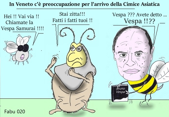 Vignetta. “In Veneto c’è preoccupazione per l’arrivo della cimice asiatica”