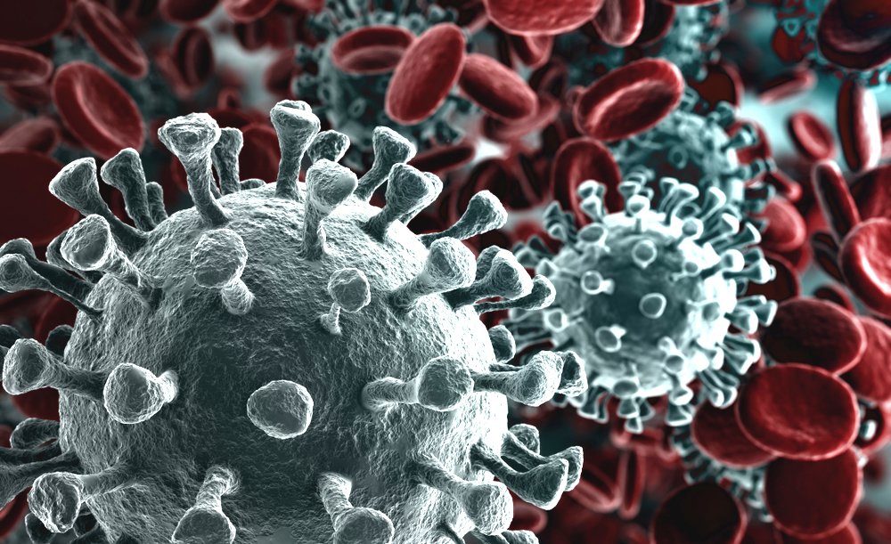 Coronavirus. Positiva bimba padovana, Disposto isolamento domiciliare per tutti i contatti. Scuola chiusa per il periodo di incubazione
