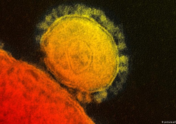 Coronavirus, trovata l’arma che ne blocca il ‘motore’