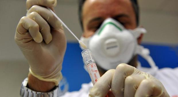 Coronavirus. In Veneto decisi tamponi a tappeto da 3.210 a 11.330 al giorno. Zaia, “Priorità a tutti i lavoratori della sanità, delle case di riposo e ai medici di famiglia”