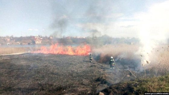 Protezione Civile. Incendio boschivo a Villa di Luvigliano (PD). Assessore Bottacin, “Ggrande impegno delle nostre forze regionali in campo”