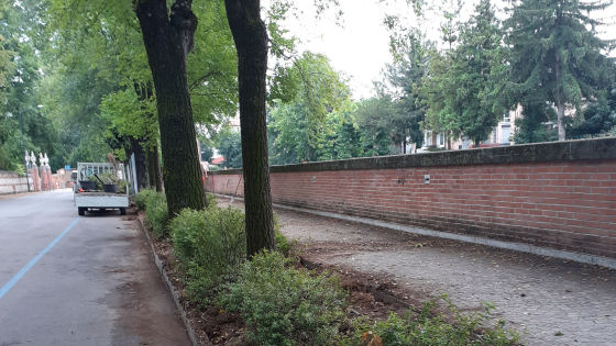 Vicenza. Viale Rumor, riqualificata l’aiuola lungo il fiume