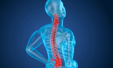 Università di Verona protagonista del progetto di medicina “Hemera” per riparare le lesioni spinali