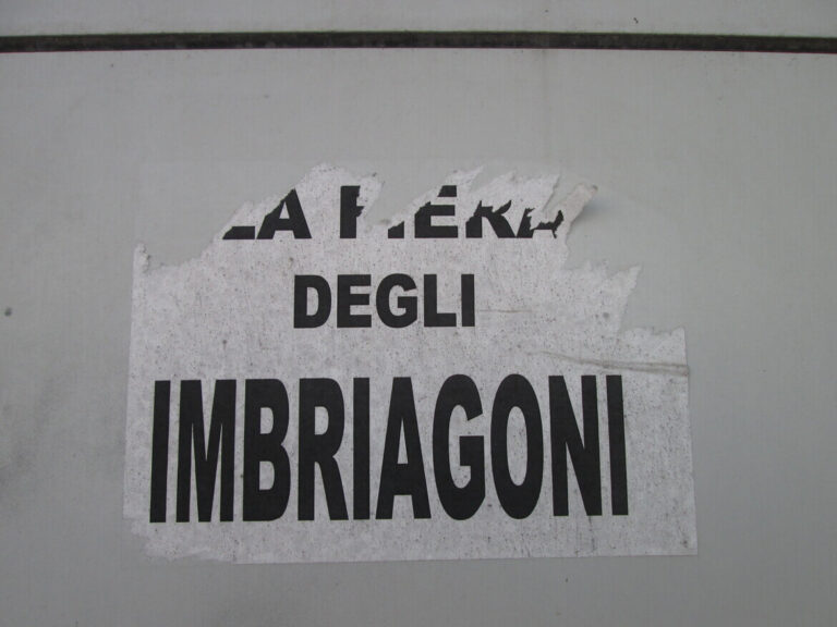 “La fiera degli imbriagoni” (in riferimento al Vinitaly) | In viale dell’Industria