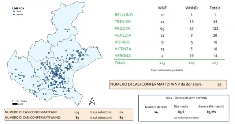 Virus West Nile. In Veneto un piano straordinario di contrasto e prevenzione