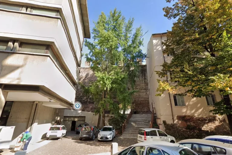 Sostituzione alberi via Adigetto Verona