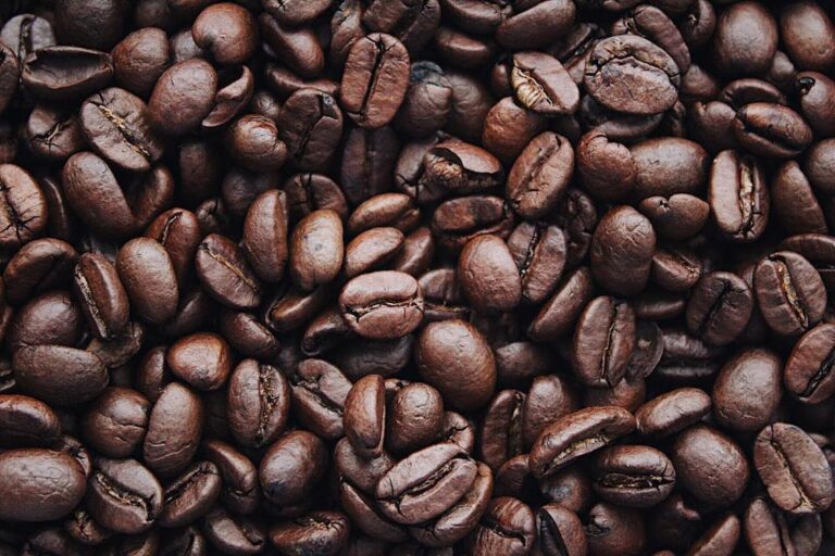 Produzione sostenibile del caffè: tutto ciò che c’è da sapere Produzione sostenibile del caffè tutto ciò che c’è da sapere