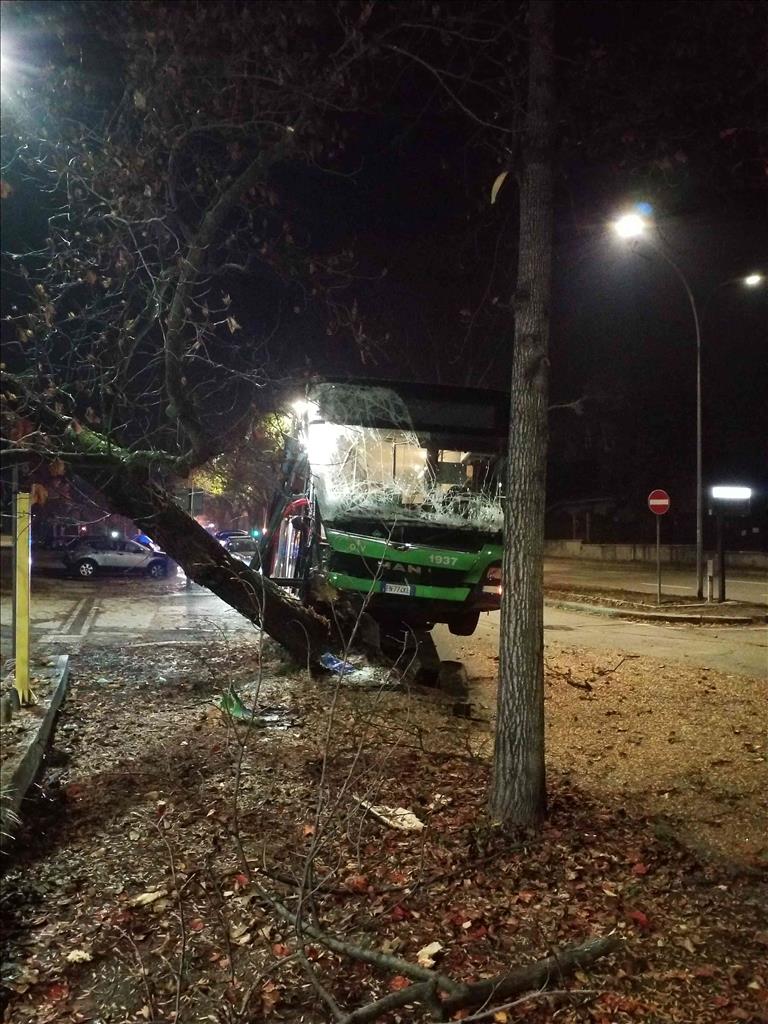 Autobus ATV contro albero in via Faccio