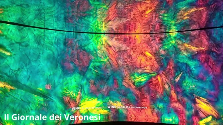 Verona. Fantasmagoria visiva d'un collettivo artistico al Vinitaly