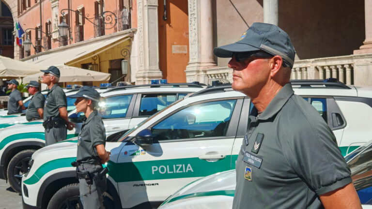 Torri, la Polizia Provinciale cattura 18 cinghiali